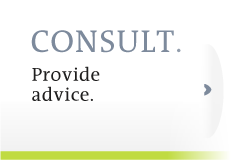 Consult. Consult and advise.